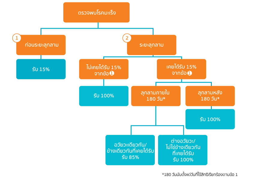 สัญญาเพิ่มเติมประกันภัยโรคมะเร็ง (CB)