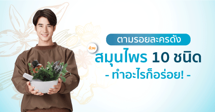 ตามรอยละครดัง ด้วย 10 สมุนไพรไทย ทำอะไรก็อร่อย