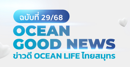 OCEAN GOOD NEWS ฉบับที่ 29 / เดือนสิงหาคม 2568
