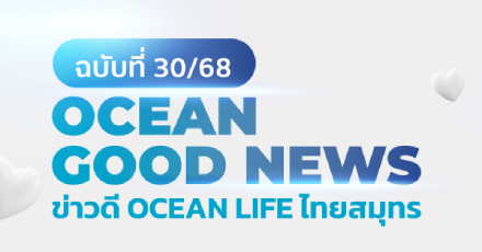 OCEAN GOOD NEWS ฉบับที่ 30 / เดือนสิงหาคม 2568