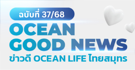 OCEAN GOOD NEWS ฉบับที่ 37 / เดือนตุลาคม 2568