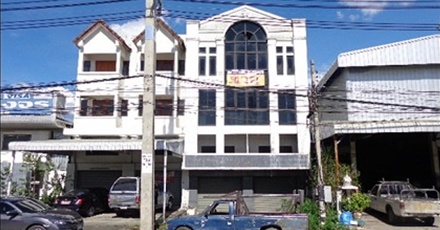 แปลงสาขาสันป่าตอง