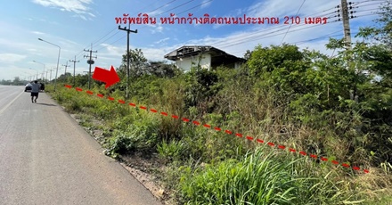 แปลงที่ดินสีคิ้ว